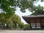 P1040454-s.JPG
